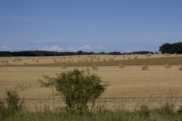 holsteinische schweiz - (c) m mueller.jpg